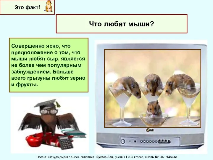 Это факт! Что любят мыши? Совершенно ясно, что предположение о том,