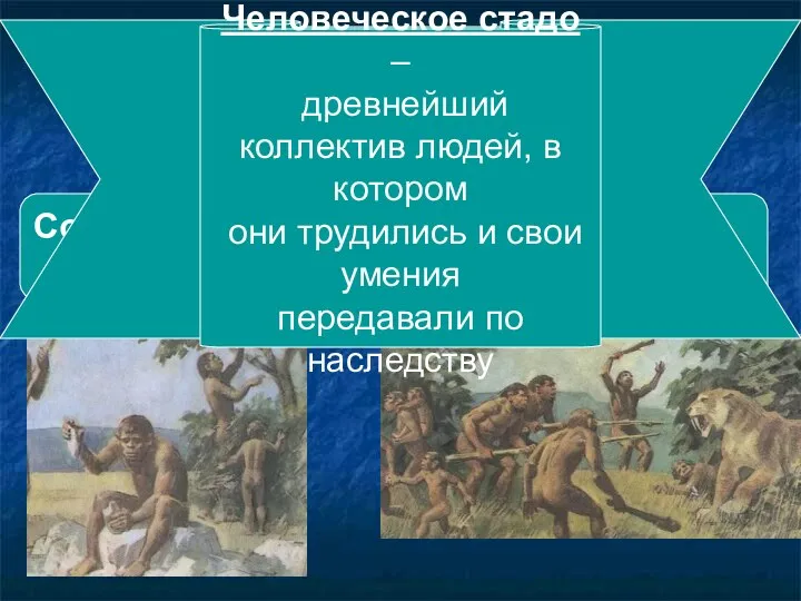 Добывание пищи Собирательство Охота Человеческое стадо – древнейший коллектив людей, в