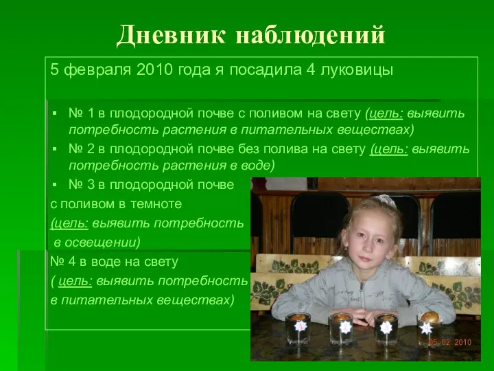 Дневник наблюдений 5 февраля 2010 года я посадила 4 луковицы №