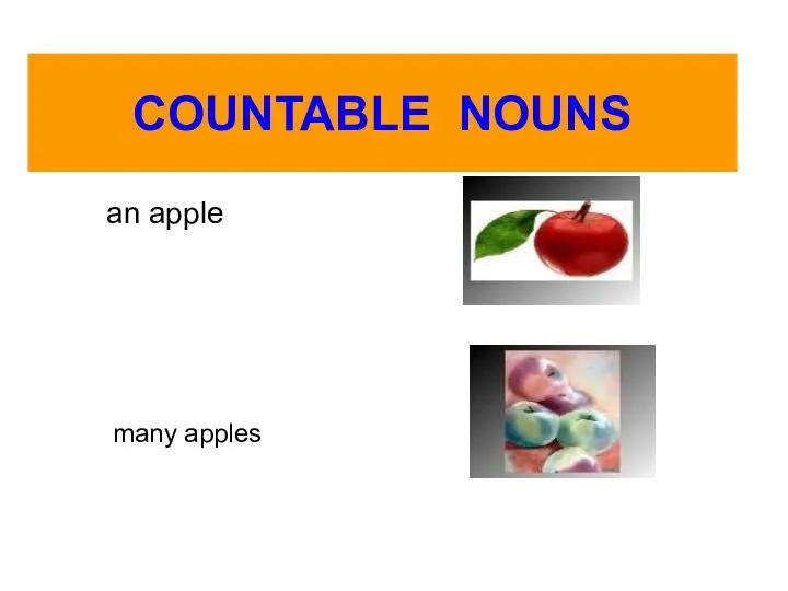 COUNTABLE NOUNS an apple many apples