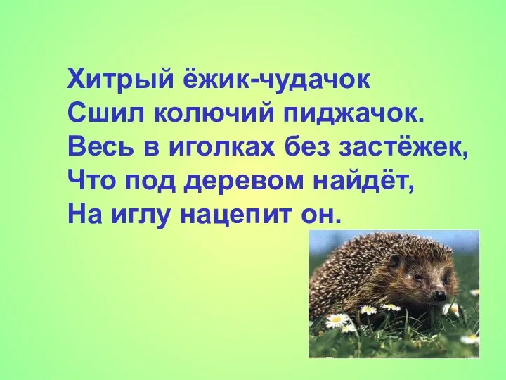 Хитрый ёжик-чудачок Сшил колючий пиджачок. Весь в иголках без застёжек, Что