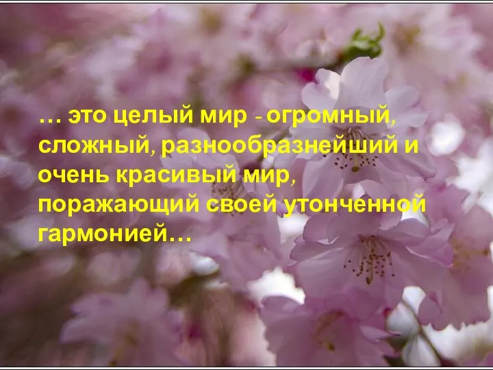 … это целый мир - огромный, сложный, разнообразнейший и очень красивый мир, поражающий своей утонченной гармонией…