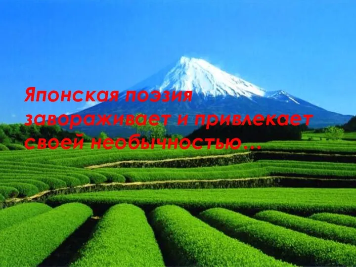 Японская поэзия завораживает и привлекает своей необычностью…