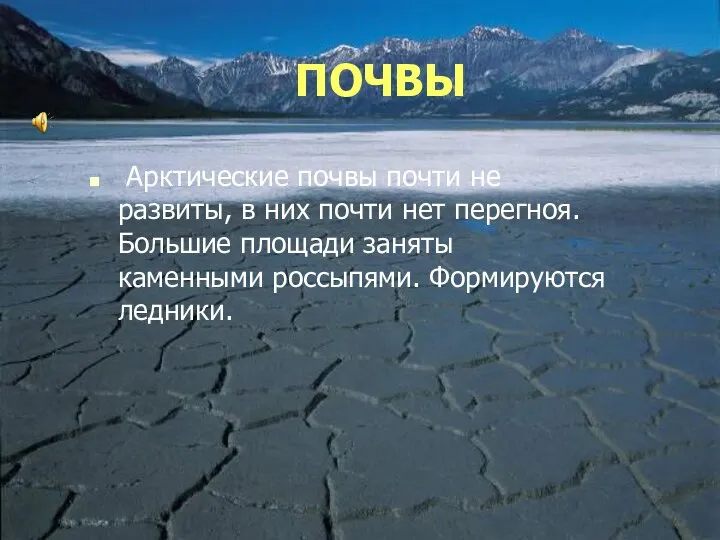 ПОЧВЫ Арктические почвы почти не развиты, в них почти нет перегноя.