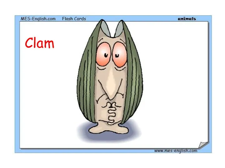 Clam