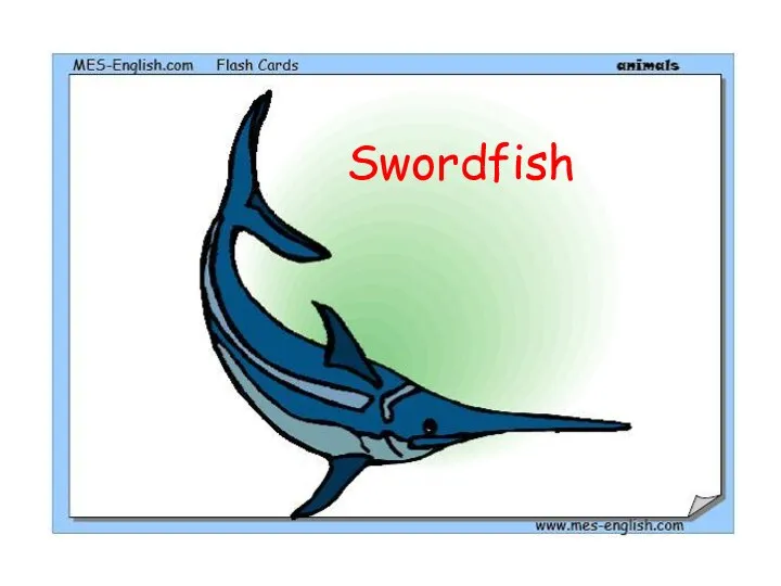 Swordfish