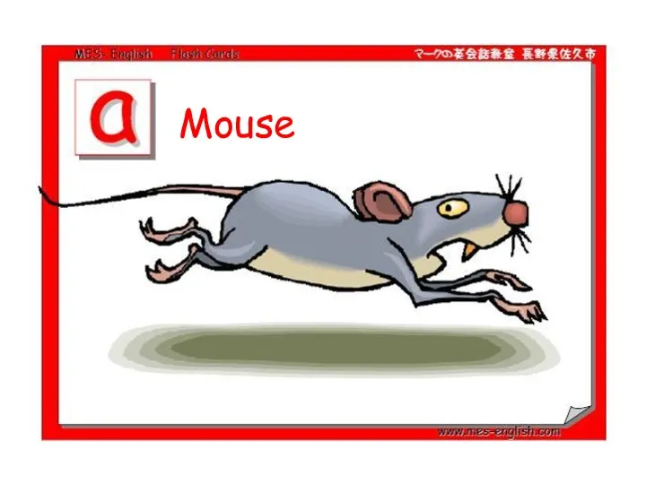 Mouse