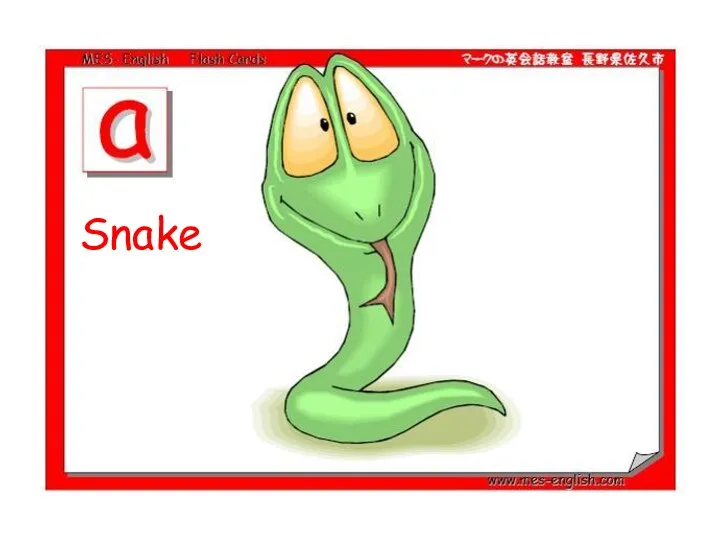 Snake