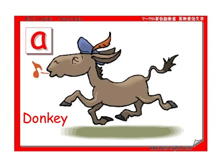 Donkey