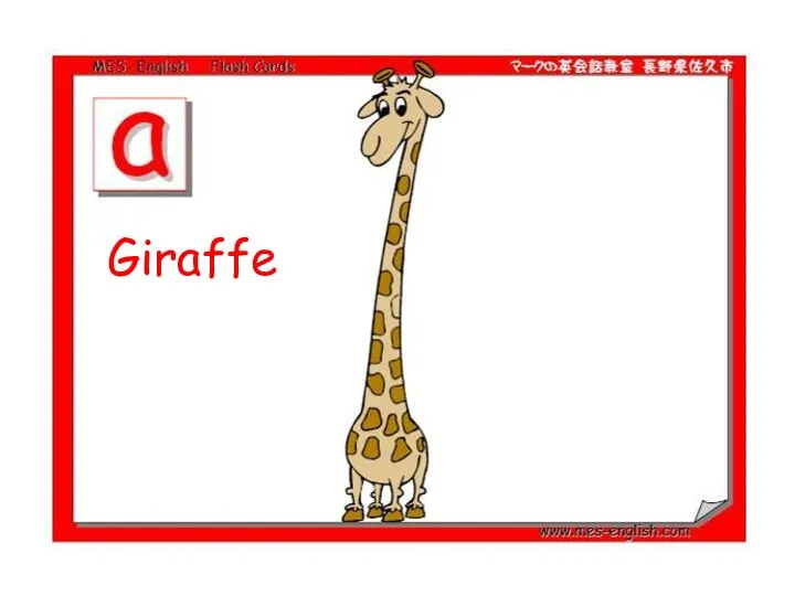 Giraffe