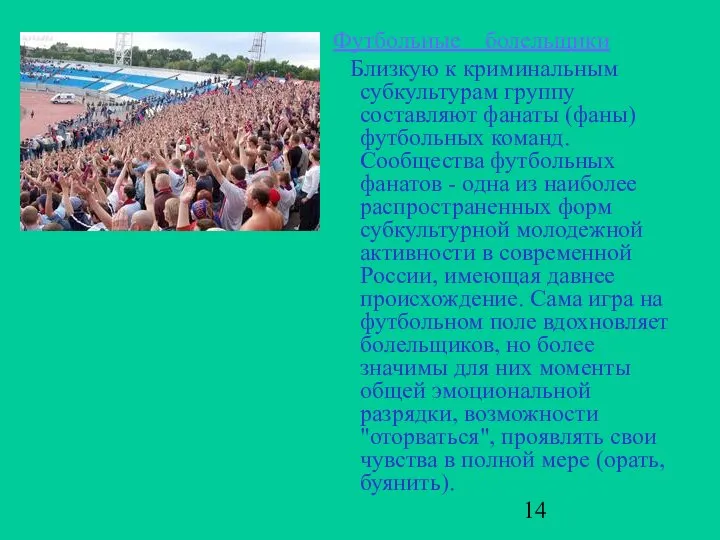 Футбольные болельщики Близкую к криминальным субкультурам группу составляют фанаты (фаны) футбольных