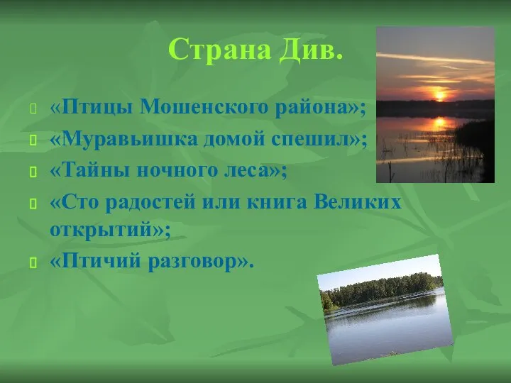 Страна Див. «Птицы Мошенского района»; «Муравьишка домой спешил»; «Тайны ночного леса»;