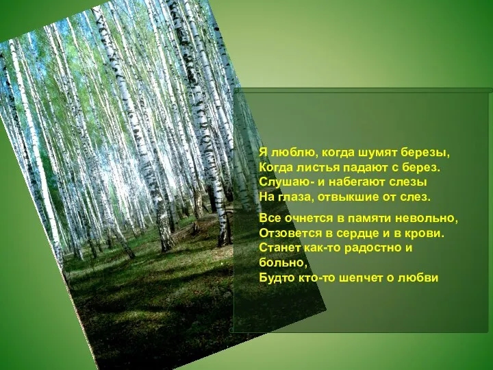 Я люблю, когда шумят березы, Когда листья падают с берез. Слушаю-