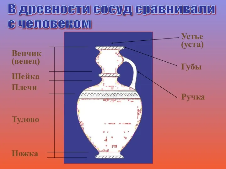 В древности сосуд сравнивали с человеком Венчик (венец) Шейка Плечи Тулово Ножка