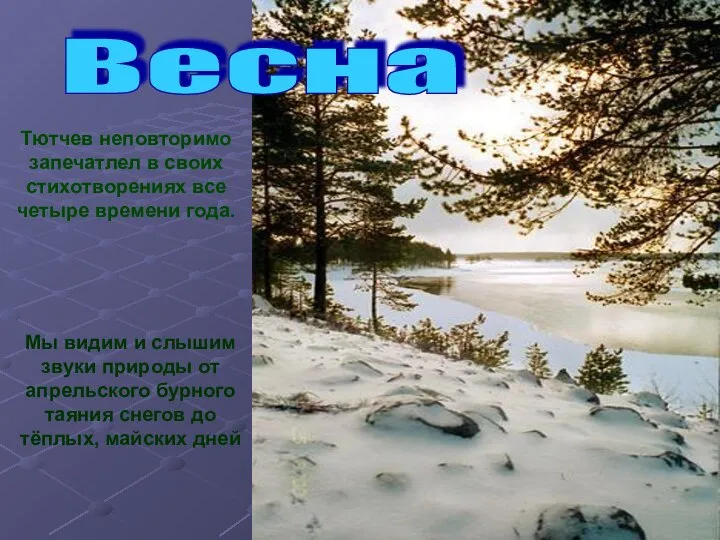 Мы видим и слышим звуки природы от апрельского бурного таяния снегов