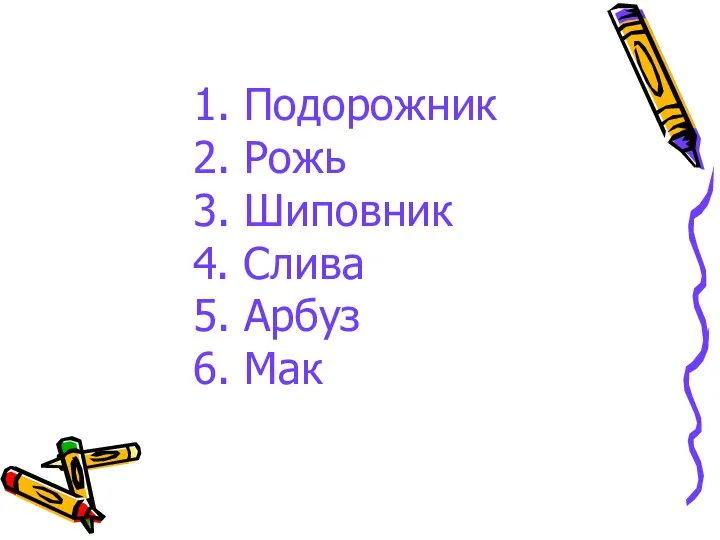 1. Подорожник 2. Рожь 3. Шиповник 4. Слива 5. Арбуз 6. Мак