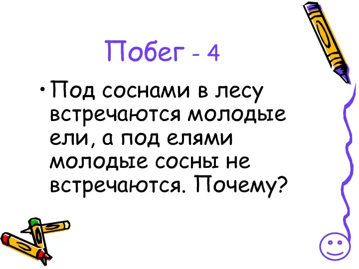 Побег - 4 Под соснами в лесу встречаются молодые ели, а