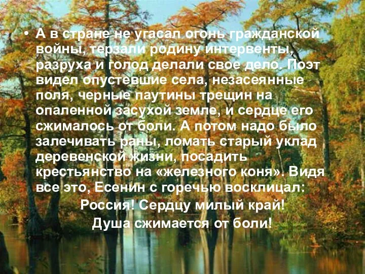 А в стране не угасал огонь гражданской войны, терзали родину интервенты,