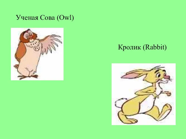 Ученая Сова (Owl) Кролик (Rabbit)