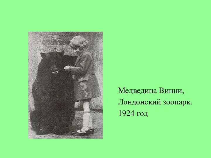 Медведица Винни, Лондонский зоопарк. 1924 год