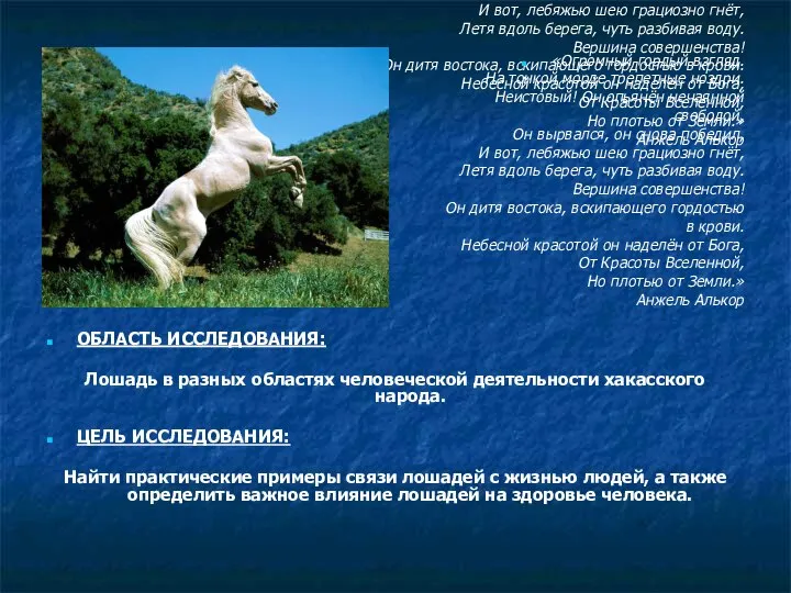 «Огромный гордый взгляд. На тонкой морде трепетные ноздри. Неистовый! Он опьянён