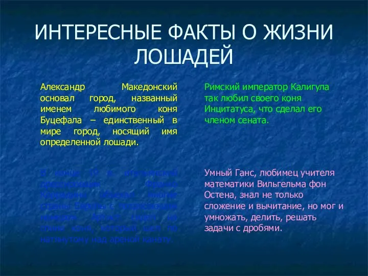 ИНТЕРЕСНЫЕ ФАКТЫ О ЖИЗНИ ЛОШАДЕЙ Александр Македонский основал город, названный именем