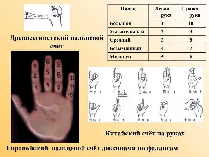 Европейский пальцевой счёт дюжинами по фалангам Китайский счёт на руках Древнеегипетский пальцевой счёт