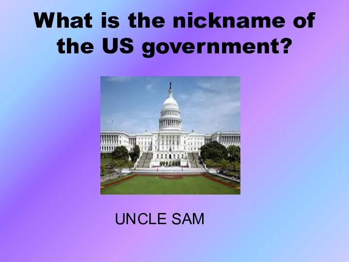 What is the nickname of the US government? UNCLE SAM