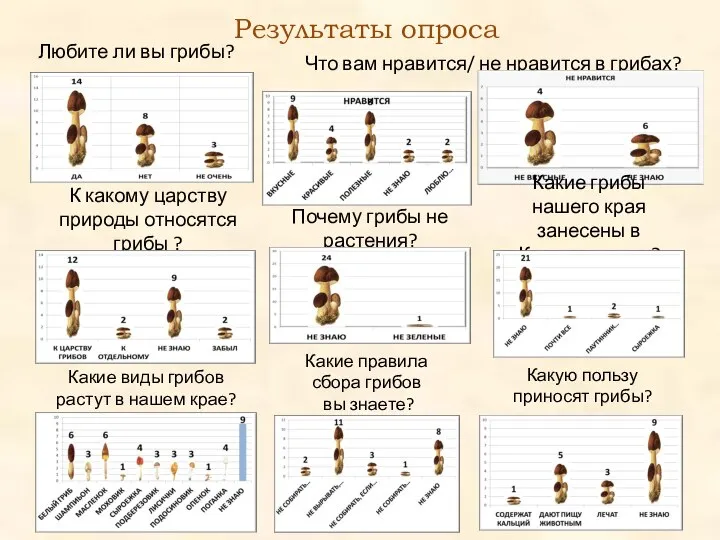 Любите ли вы грибы? Что вам нравится/ не нравится в грибах?