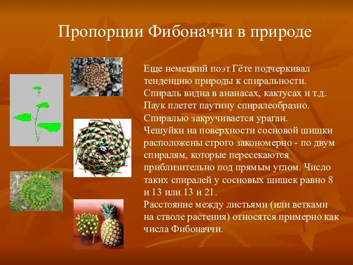 Еще немецкий поэт Гёте подчеркивал тенденцию природы к спиральности. Спираль видна