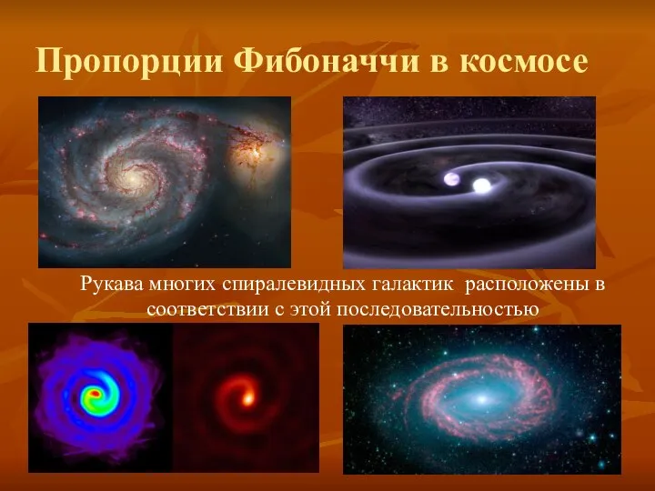 Рукава многих спиралевидных галактик расположены в соответствии с этой последовательностью Пропорции Фибоначчи в космосе