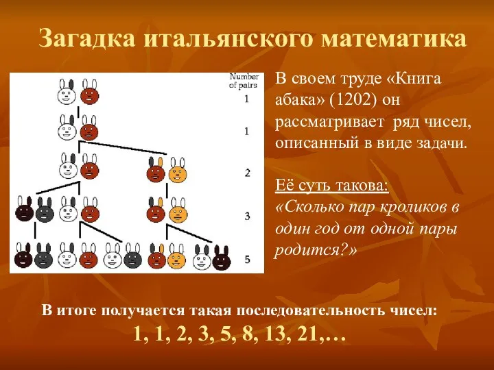 В своем труде «Книга абака» (1202) он рассматривает ряд чисел, описанный