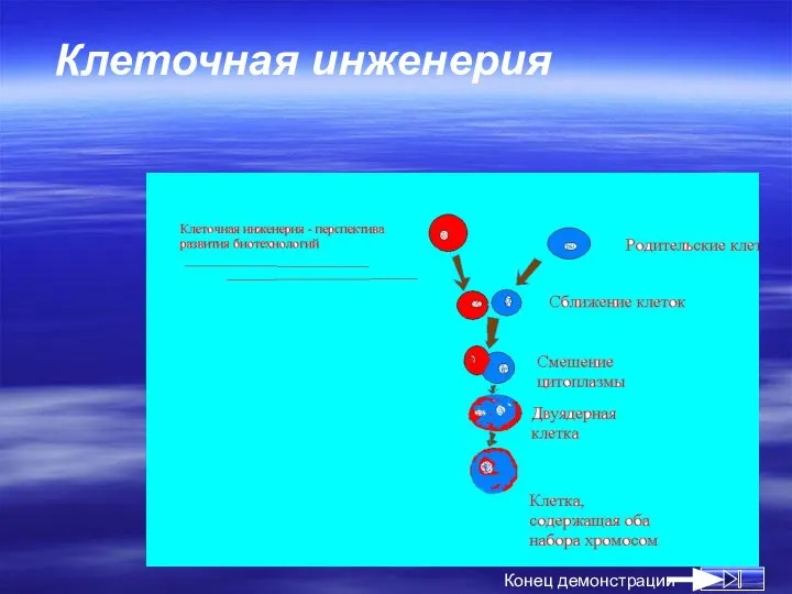 Клеточная инженерия