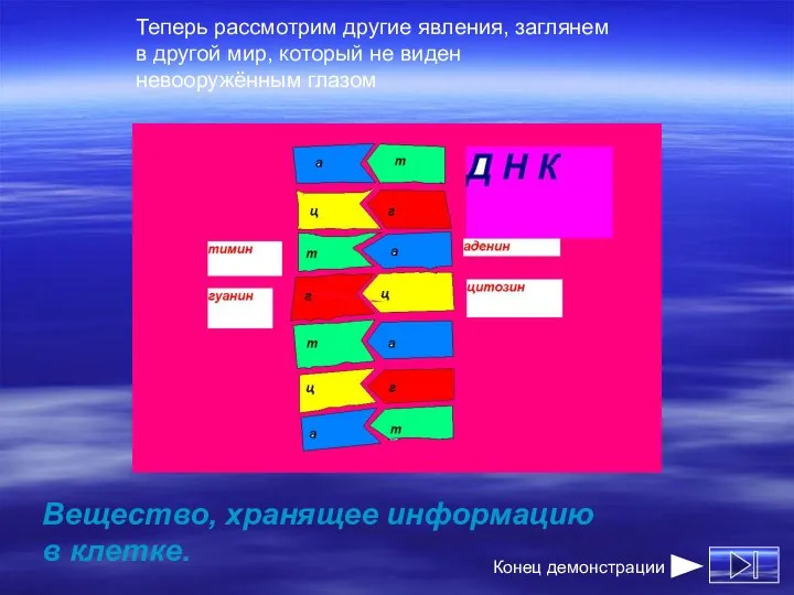 Вещество, хранящее информацию в клетке. Теперь рассмотрим другие явления, заглянем в