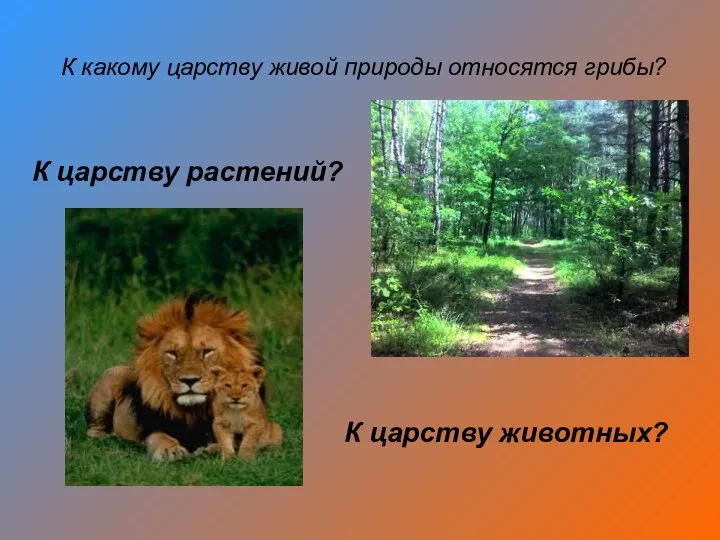 К какому царству живой природы относятся грибы? К царству растений? К царству животных?