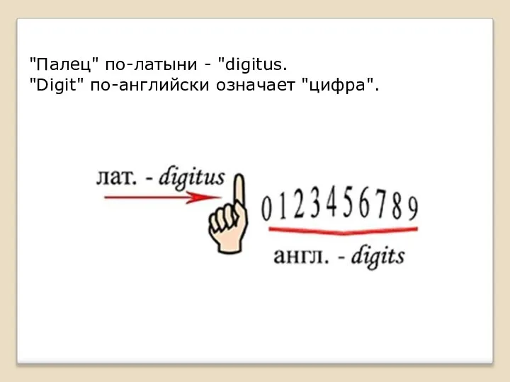 "Палец" по-латыни - "digitus. "Digit" по-английски означает "цифра".