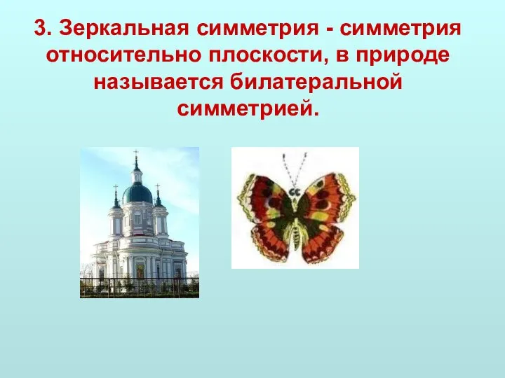 3. Зеркальная симметрия - симметрия относительно плоскости, в природе называется билатеральной симметрией.