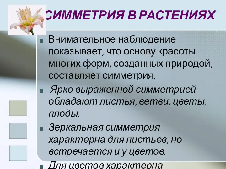 СИММЕТРИЯ В РАСТЕНИЯХ Внимательное наблюдение показывает, что основу красоты многих форм,