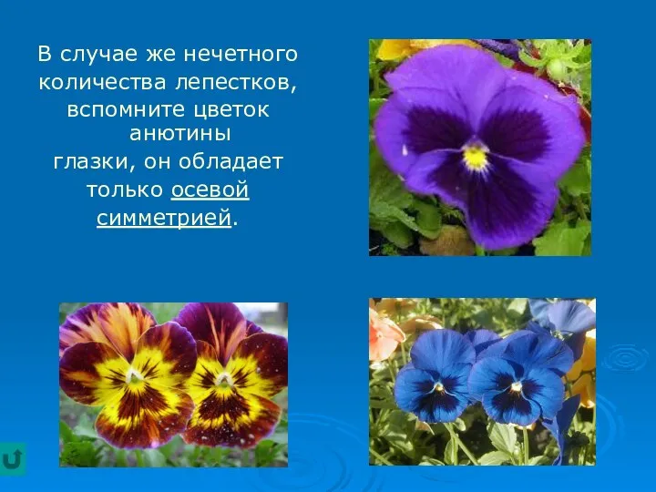 В случае же нечетного количества лепестков, вспомните цветок анютины глазки, он обладает только осевой симметрией.