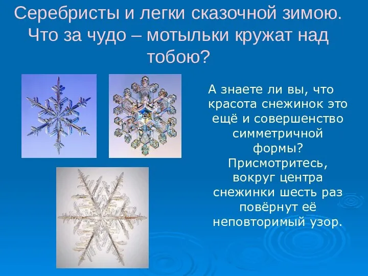 Серебристы и легки сказочной зимою. Что за чудо – мотыльки кружат