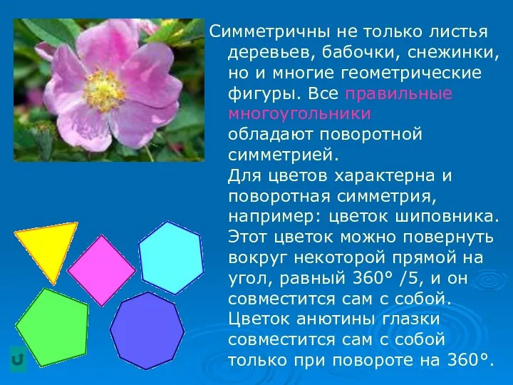 Симметричны не только листья деревьев, бабочки, снежинки, но и многие геометрические