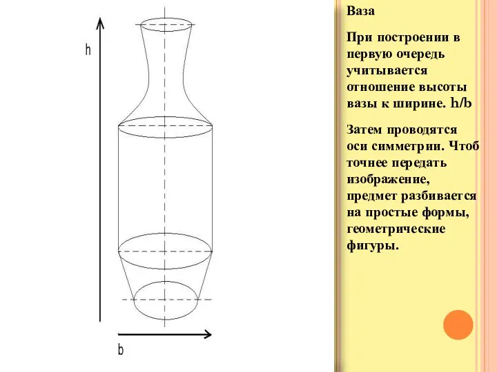 Ваза При построении в первую очередь учитывается отношение высоты вазы к