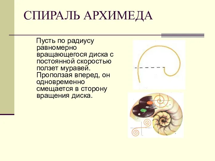 СПИРАЛЬ АРХИМЕДА Пусть по радиусу равномерно вращающегося диска с постоянной скоростью