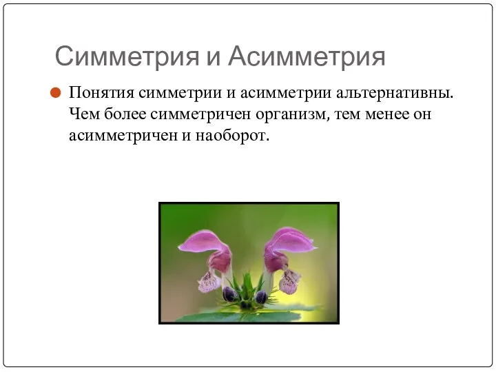 Симметрия и Асимметрия Понятия симметрии и асимметрии альтернативны. Чем более симметричен