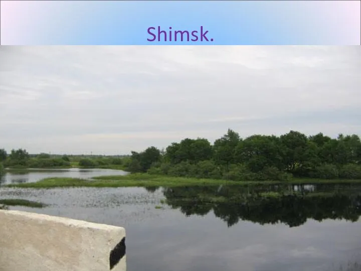 Shimsk.