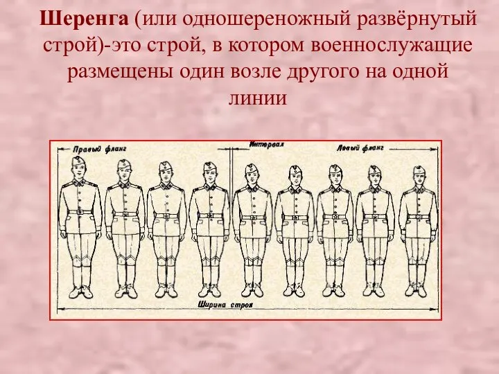 Шеренга (или одношереножный развёрнутый строй)-это строй, в котором военнослужащие размещены один возле другого на одной линии