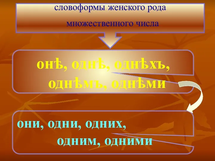 онѣ, однѣ, однѣхъ, однѣмъ, однѣми словоформы женского рода множественного числа они, одни, одних, одним, одними