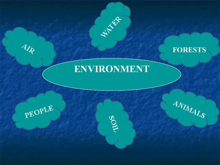 ENVIRONMENT WATER FORESTS ANIMALS SOIL PEOPLE AIR