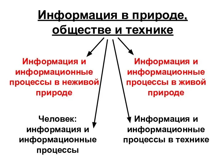 Информация в природе, обществе и технике Информация и информационные процессы в