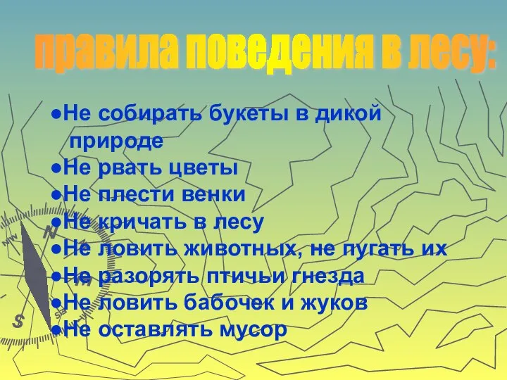 Не собирать букеты в дикой природе Не рвать цветы Не плести